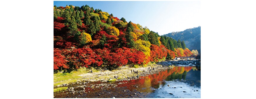 出所：じゃらん「圧巻の絶景紅葉ランキング」