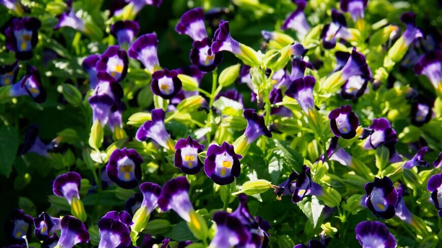 P.Ochasanond/istockphoto.com