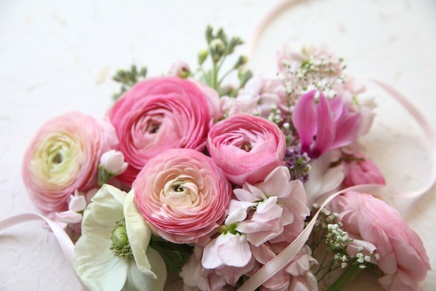 nebari/istockphoto.com