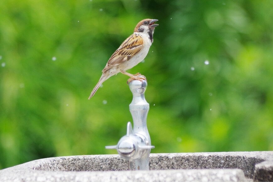 出所：投稿主様からの提供画像