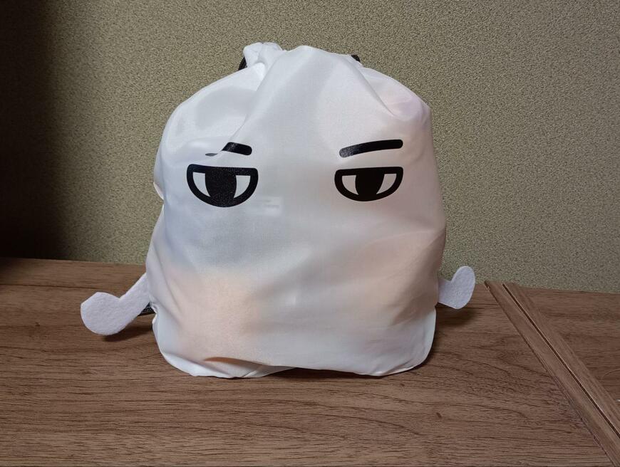 筆者撮影（ダイソー、底マチ付き巾着　メジェド柄）