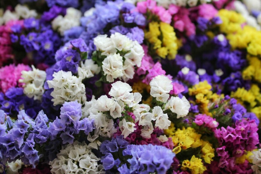 Turistas/shutterstock.com