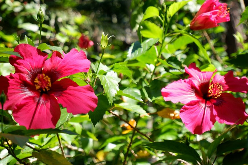 Hitomi Fujinaka/istockphoto.com