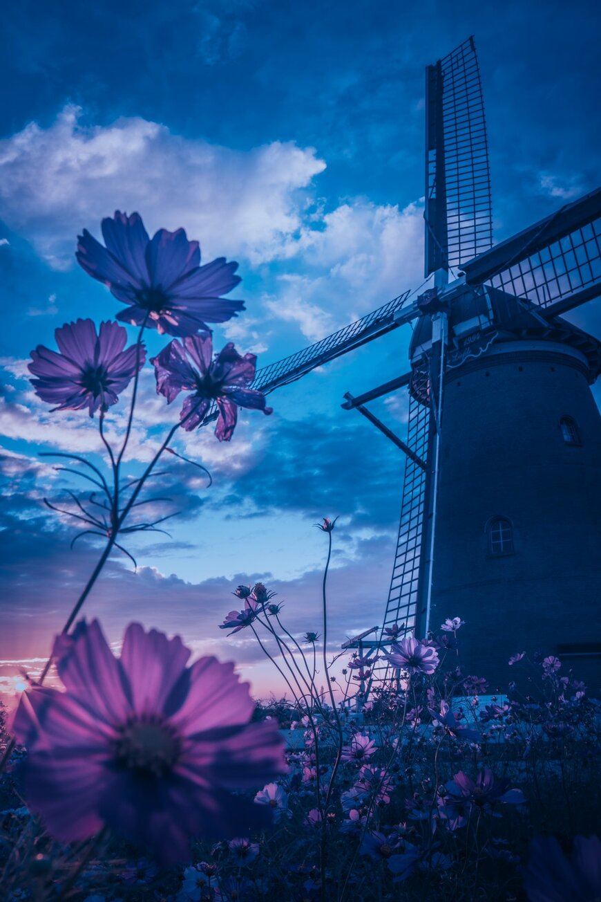 出所：@ao_no_sora19