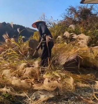 出所：@kusakari.zamurai