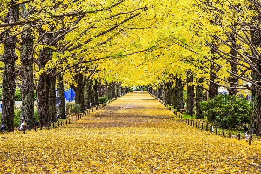 【療育手帳】所持者は128万人以上！「どんな人が持っている？」障害者手帳を持つことで受けられる支援とは？