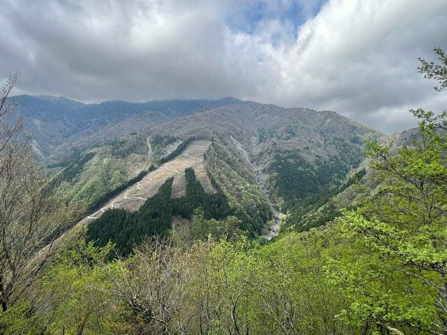 投稿の画像