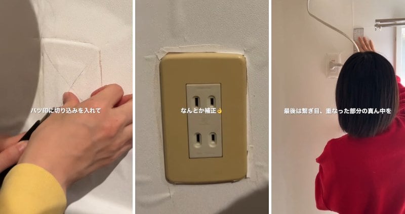 投稿の画像
