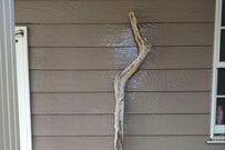 「こういうの好きだろ」知り合いの大工が持ってきた杖に目を疑う　「なかなかの逸品」