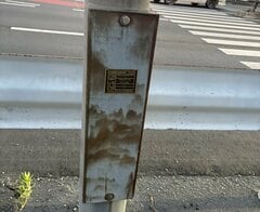 電柱のプレートに描かれた「水墨画」を発見！自然が生み出したアートに「バンクシーの仕事やな」「雪舟もビックリ」