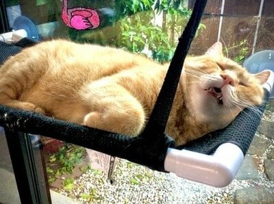 ●●キャプション（上）