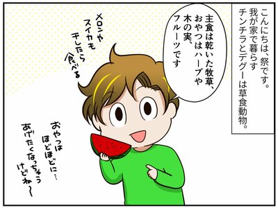 チンチライフ182話