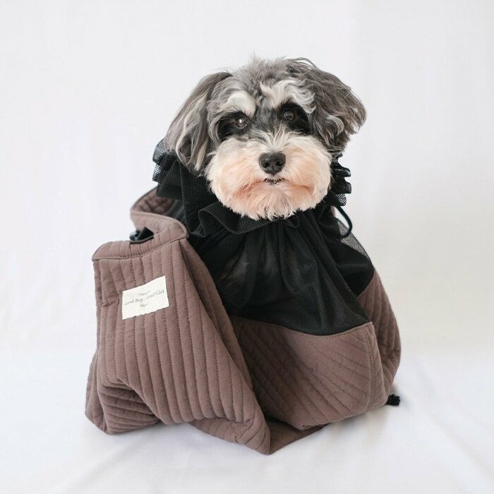 ペットと一緒に快適にお出かけできるペットスリング