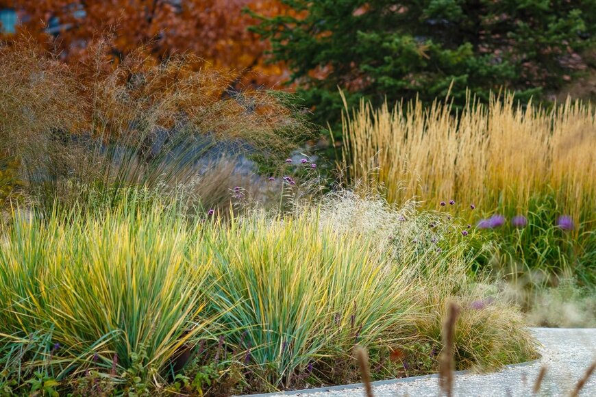 Flower_Garden /shutterstock.com