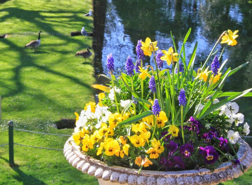 Gav Smith/shutterstock.com