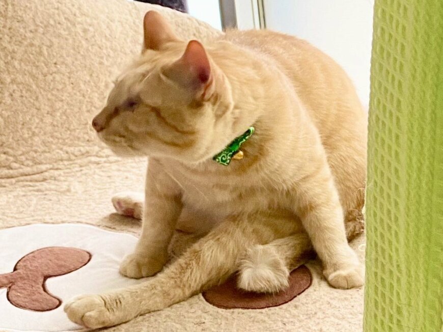 出所：月と鷹@luna7taka9