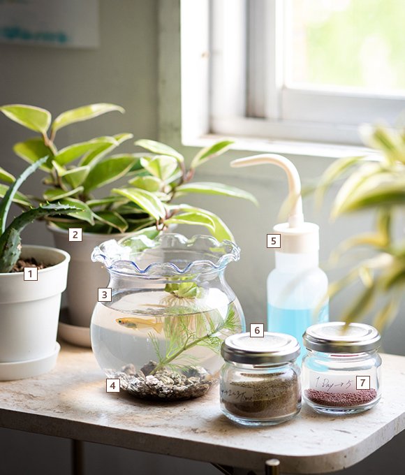 画像出典：セリア公式