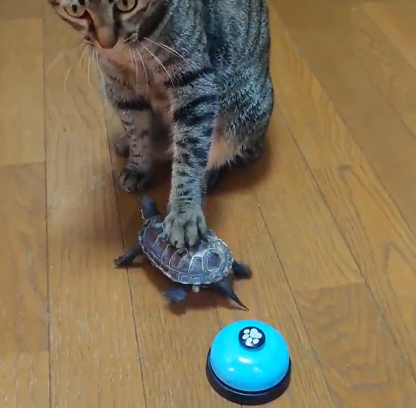 出所：@Mh0MLiErcV8E97C