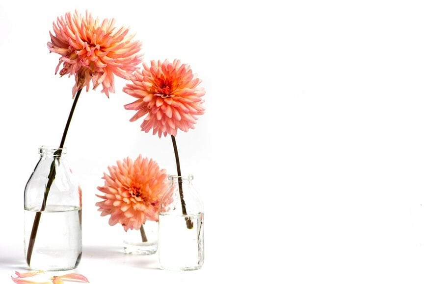 Creative Family/Shutterstock.com