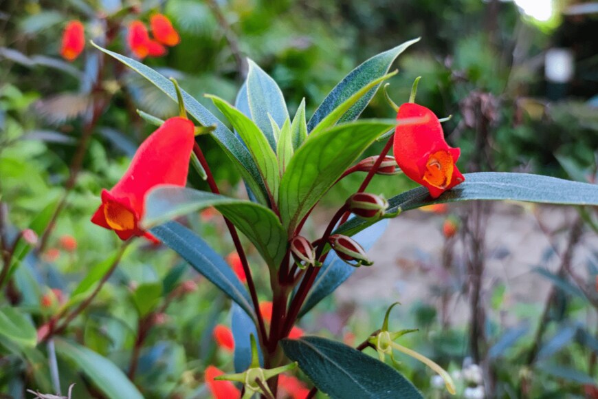 f.maliki/shutterstock.com