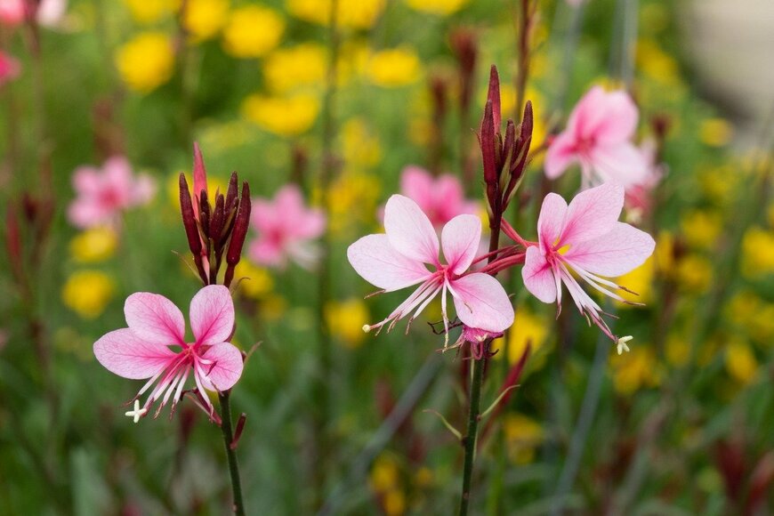 P.Ochasanond/istockphoto.com