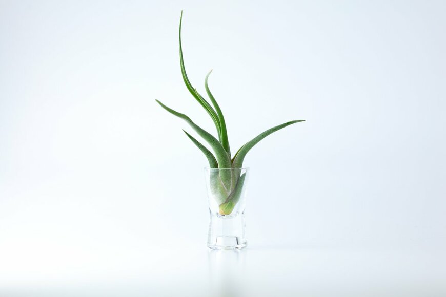 optimarc/Shutterstock.com