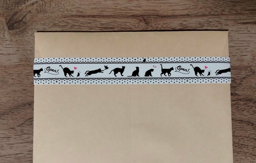 筆者撮影：ダイソー、ジッパーシール（CATS）