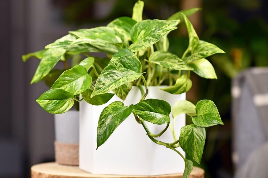 Firn/istockphoto.com