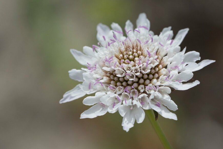 SharonWills/istockphoto.com