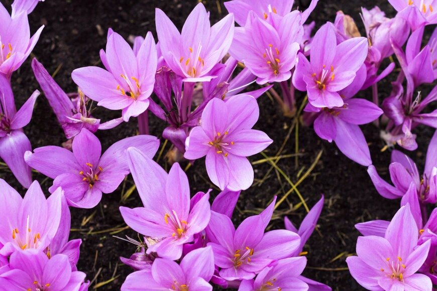 Jurgute/istockphoto.com