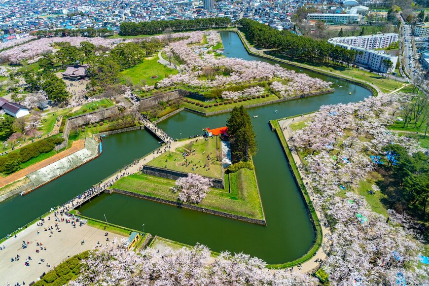 【桜前線】北海道の見頃はいつ？　2023年の北上は記録的な早さに