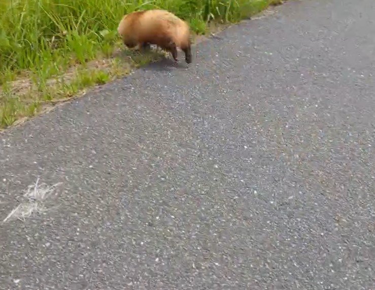 出所：@MRBean1105