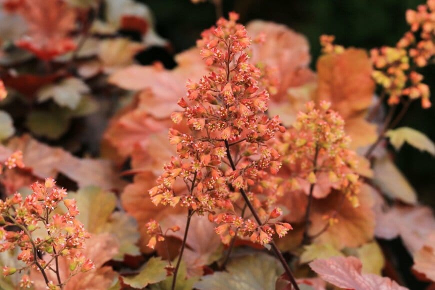 Traveller70/shutterstock.com