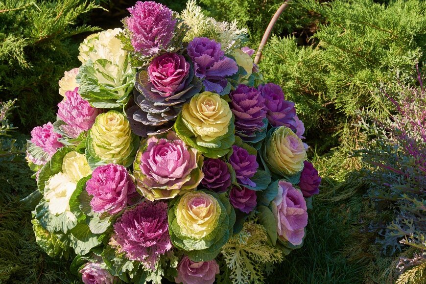 Iryna_L/istockphoto.com