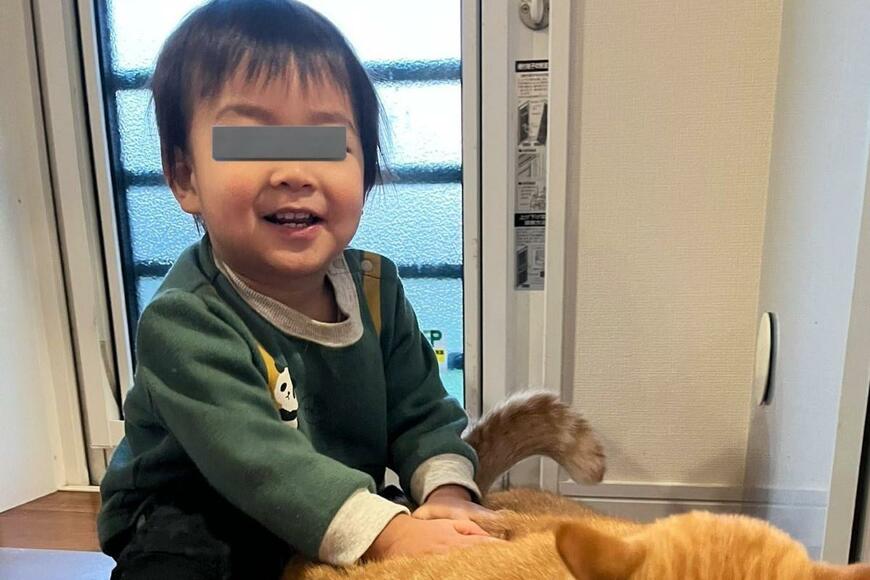 猫と触れ合えて嬉しさ爆発の男の子　一方猫は…思わず笑ってしまう光景にホッコリ