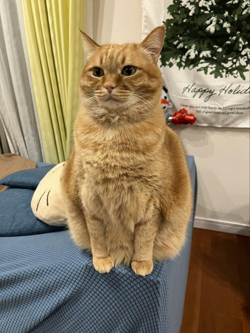 出所：@kagisuzu0531