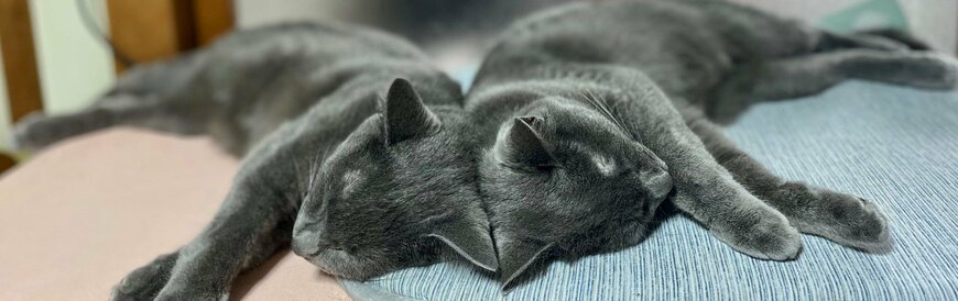 出所：@luna7taka9