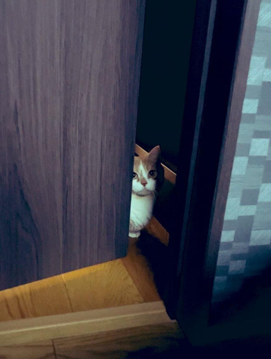 出所：@kotaro_0315