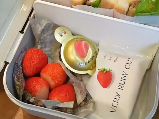 出所：@KINOKOTV-q4e