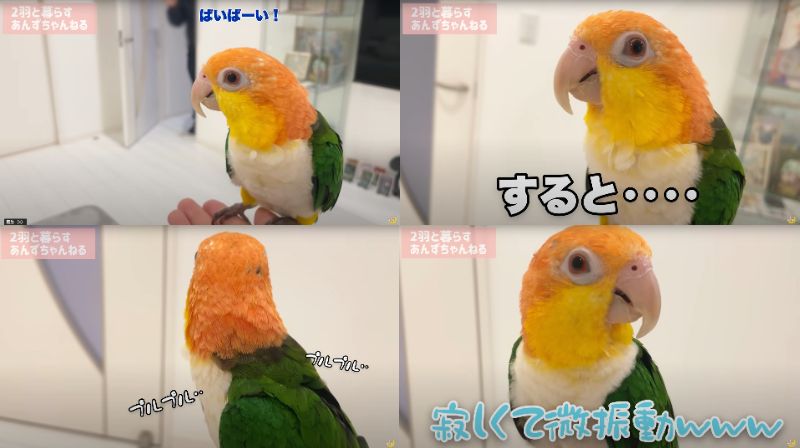 出所：@anz_omomiri