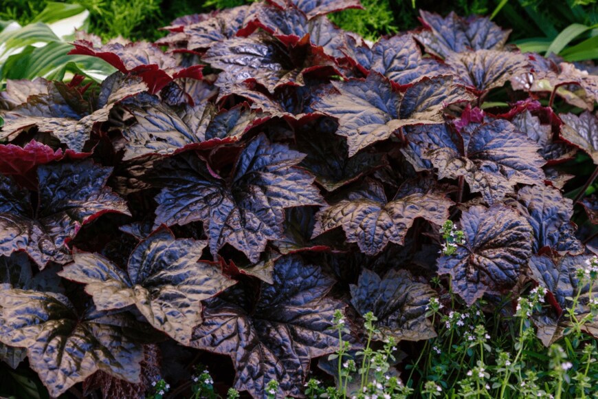 Olga Bungova/istockphoto.com