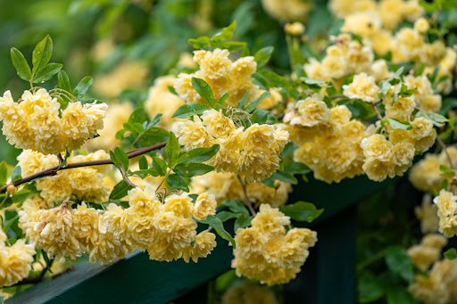 Picmin/shutterstock.com