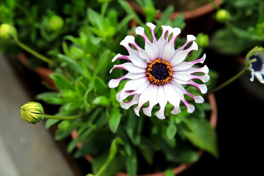 soniabonet/istockphoto.com