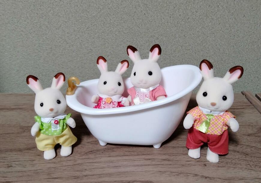 筆者撮影（セリア、ラッピングケース バスタブ モノクロ）