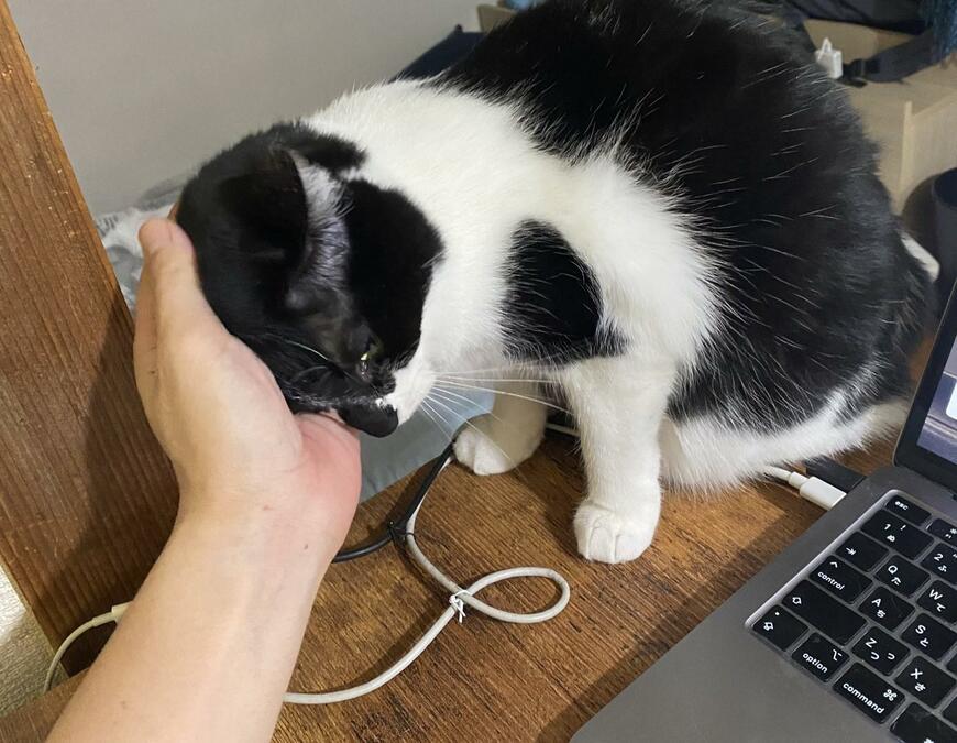 出所：@00shitemita