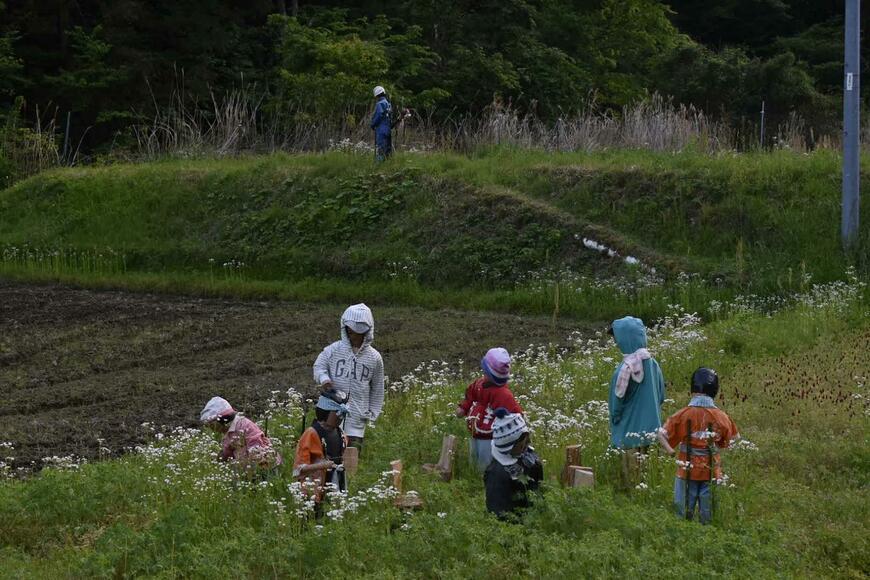 宮崎県で撮影された光景