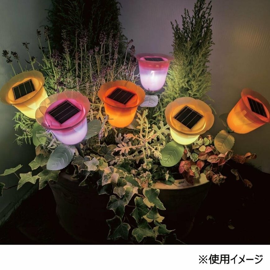 出所：株式会社コメリ