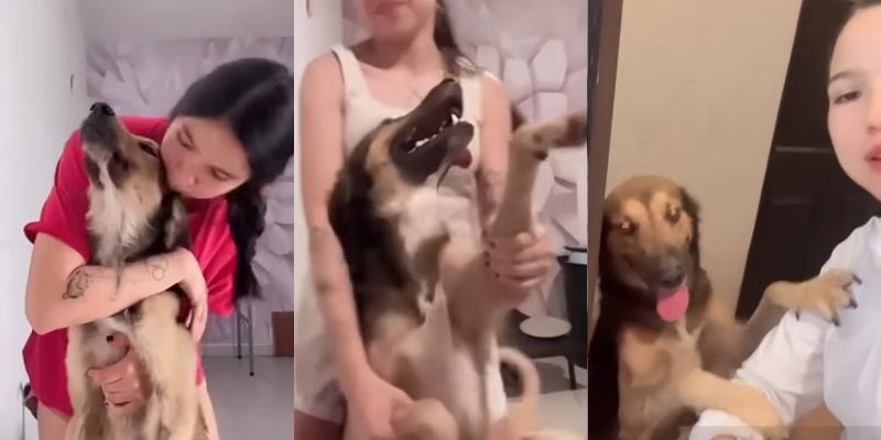 回復し、スタッフに甘えるゼウス