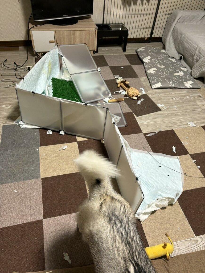 破壊されたトイレ
