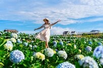 「申請してももらえない、なんてホント？」6月11日公表「障害年金の新規認定で不支給」増加の背景とは？ 